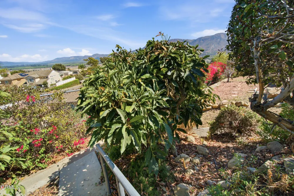 853 Vista Grande Drive Santa Paula, CA 93060