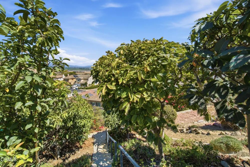 853 Vista Grande Drive Santa Paula, CA 93060