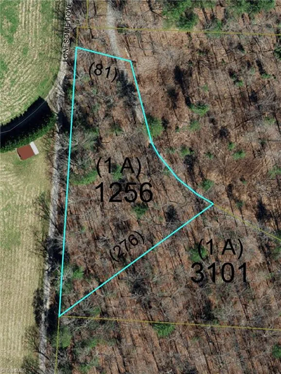 1653 Walshtown Road Boomer, NC 28606