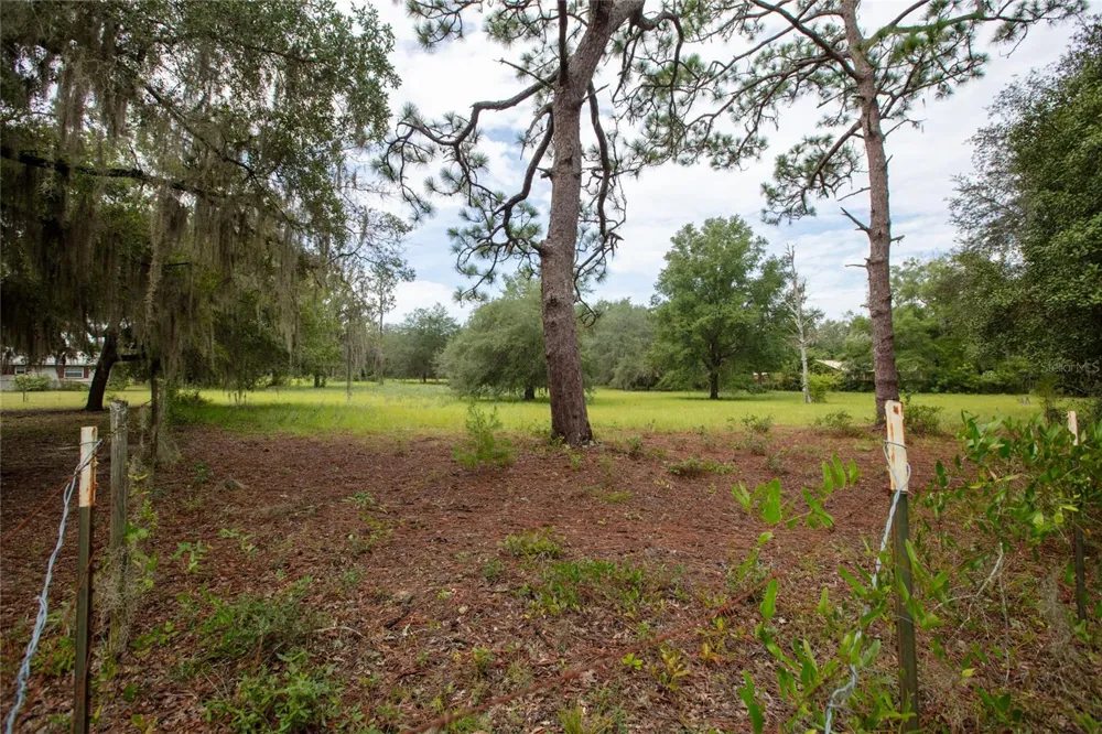 6323 PAYNE ROAD Keystone Heights, FL 32656