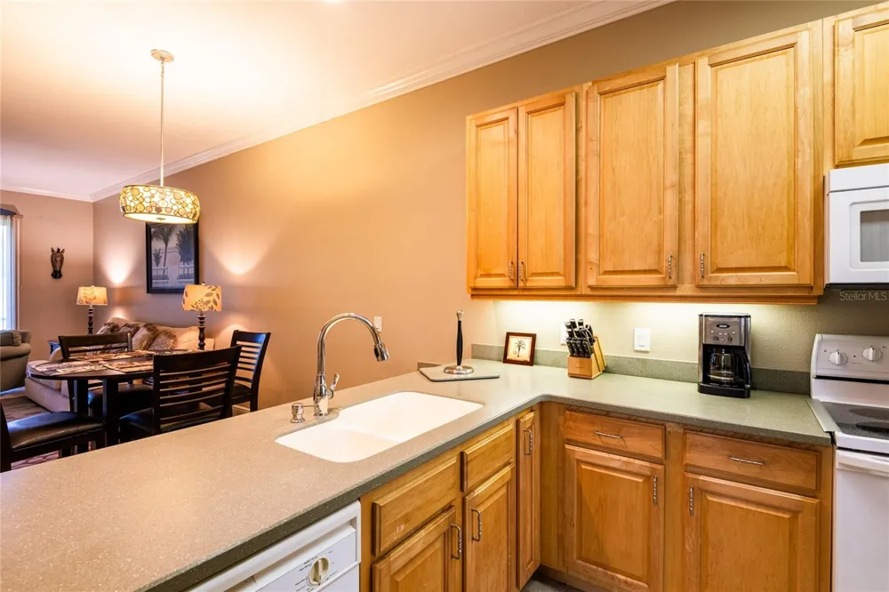 6801 DALI AVENUE #104 Land O Lakes, FL 34637