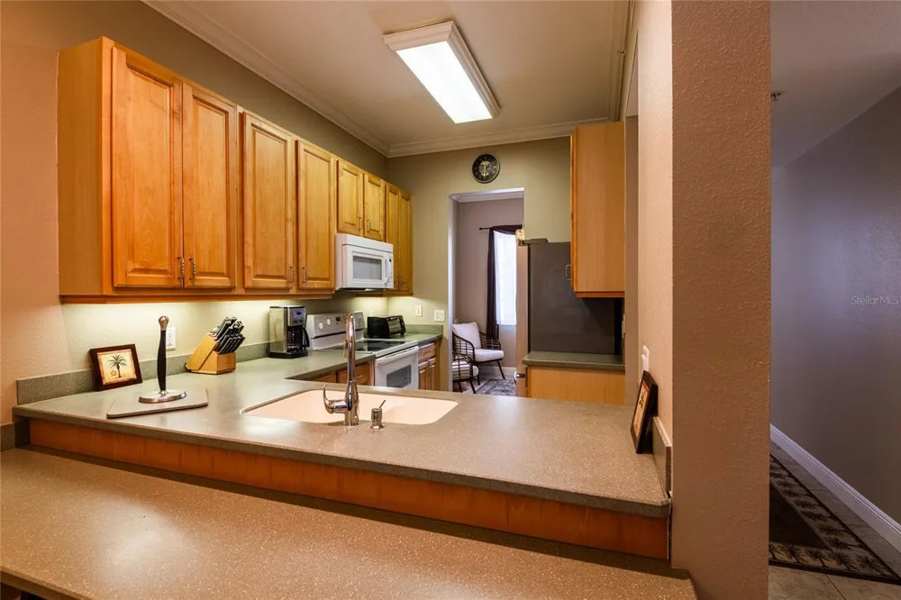 6801 DALI AVENUE #104 Land O Lakes, FL 34637