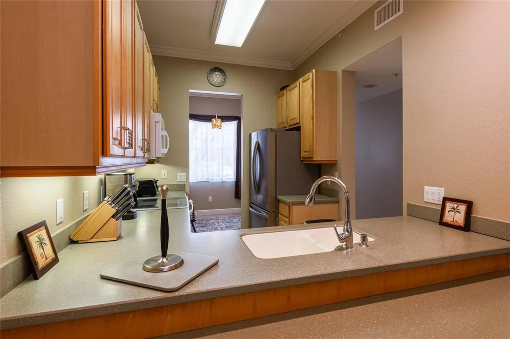 6801 DALI AVENUE #104 Land O Lakes, FL 34637