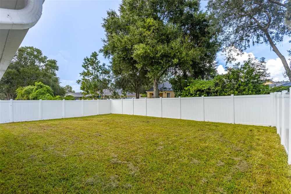 24847 WILD FRONTIER DRIVE Land O Lakes, FL 34639