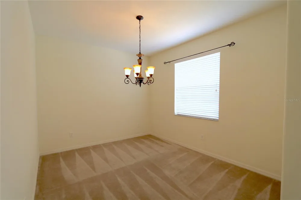 4027 LANGDRUM DRIVE Wesley Chapel, FL 33543