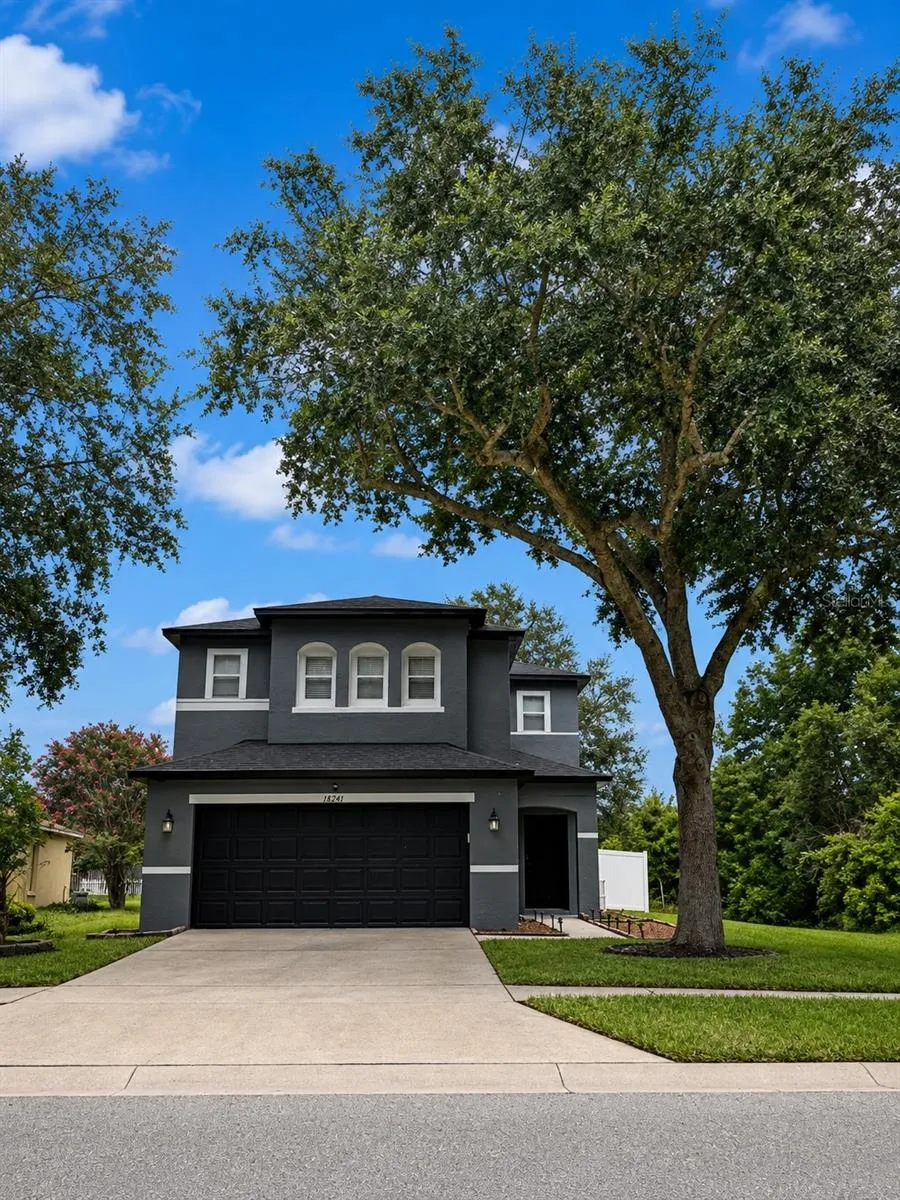 18941 SUNTERRA DRIVE Land O Lakes, FL 34638