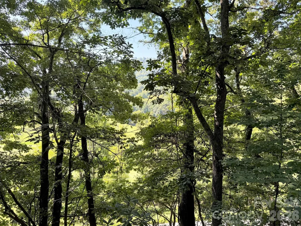 115 Knoll Ridge Lane Waynesville, NC 28785