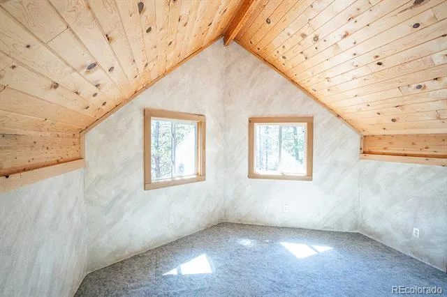 643 Spruce Drive Twin Lakes, CO 80461