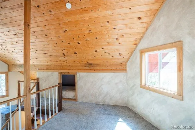 643 Spruce Drive Twin Lakes, CO 80461