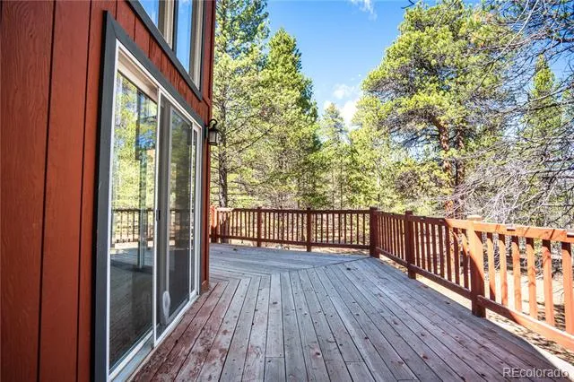643 Spruce Drive Twin Lakes, CO 80461