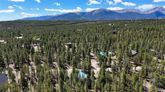 643 Spruce Drive Twin Lakes, CO 80461