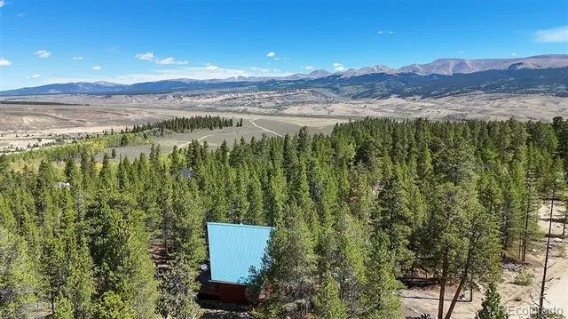643 Spruce Drive Twin Lakes, CO 80461