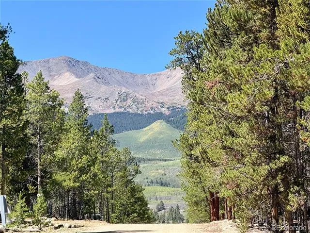 643 Spruce Drive Twin Lakes, CO 80461