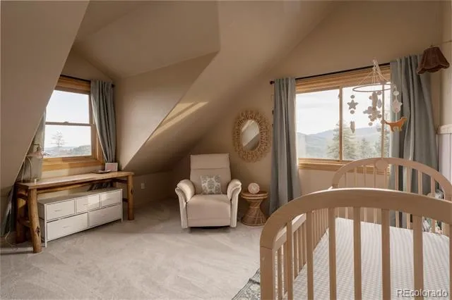 6929 Weasel Way Evergreen, CO 80439
