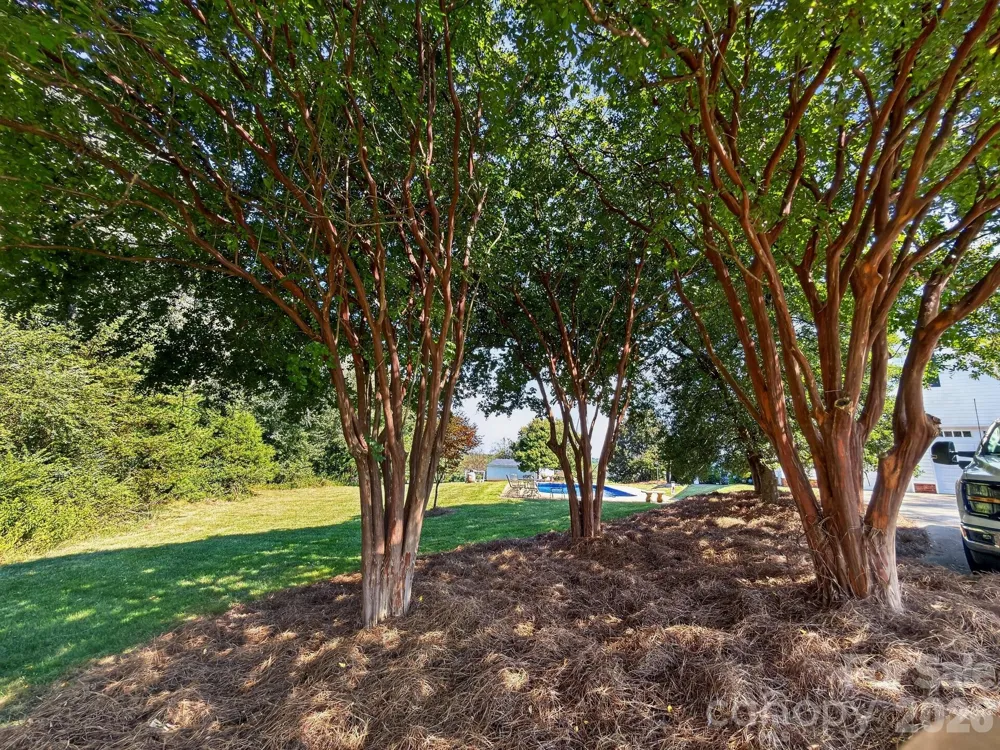 1186 Morningstar Lake Road Forest City, NC 28043