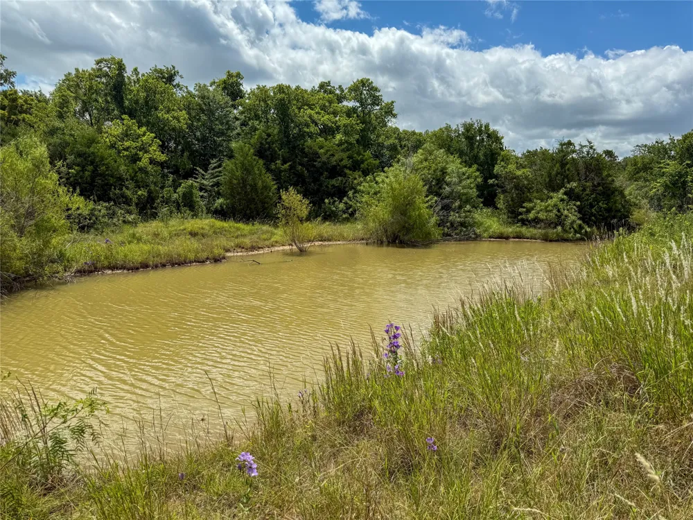 1700 Don Lee Road Joshua, TX 76058