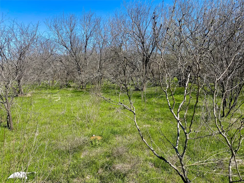 1700 Don Lee Road Joshua, TX 76058