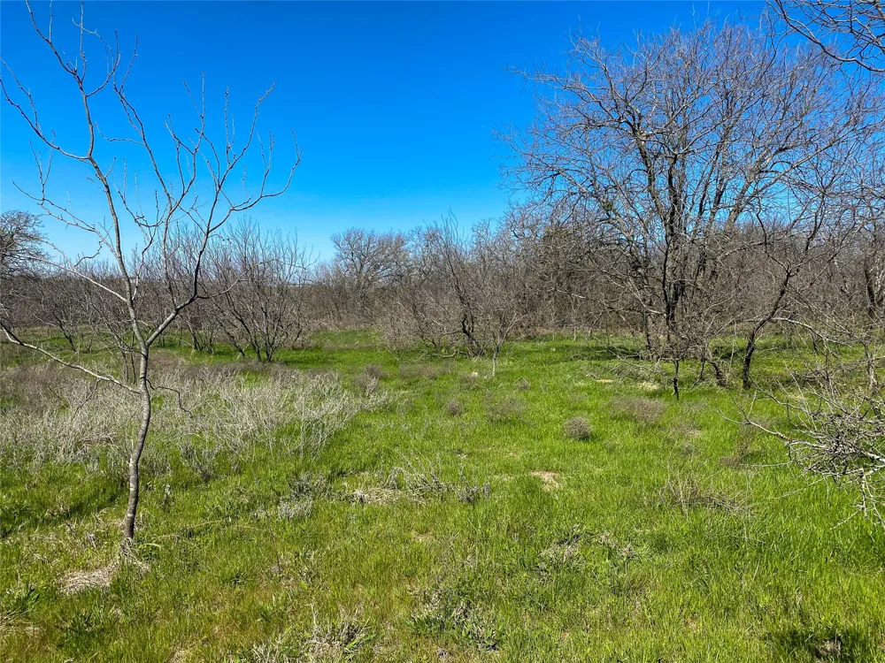 1700 Don Lee Road Joshua, TX 76058