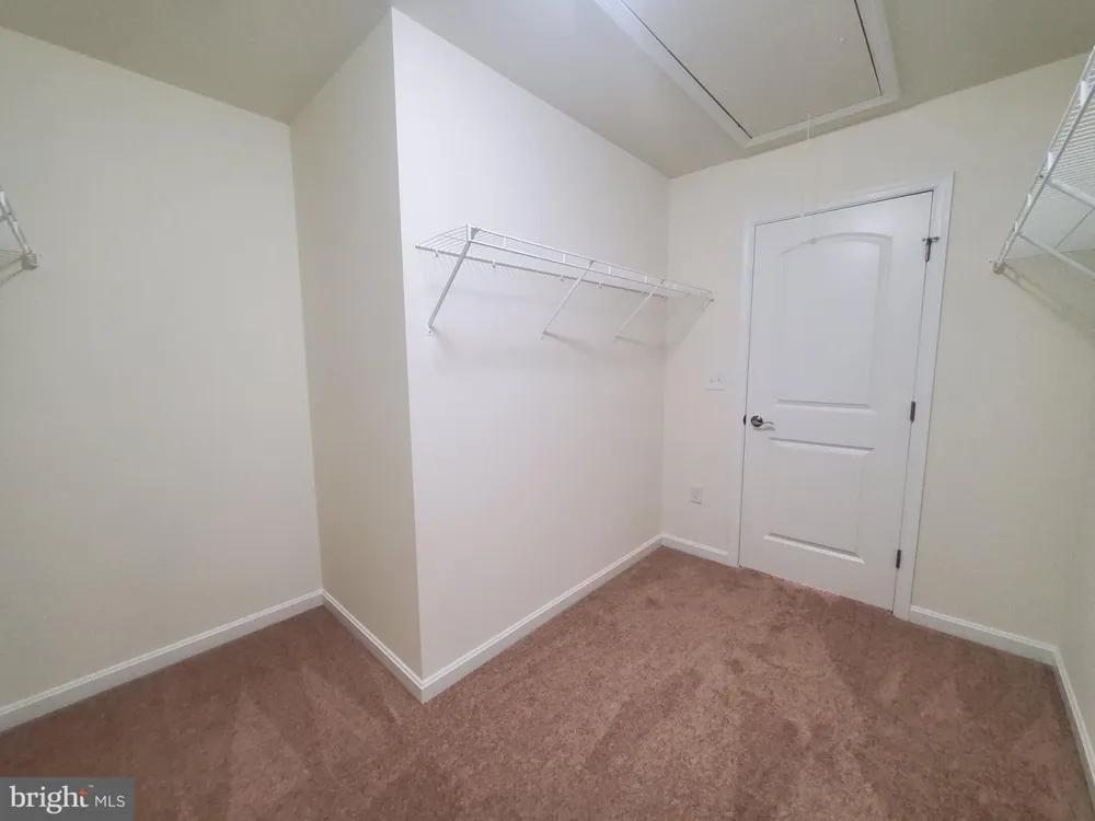 141 CILENTO DRIVE Magnolia, DE 19962