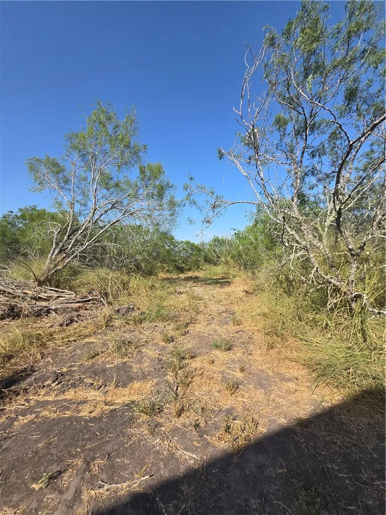 21912 County Road 798 Mathis, TX 78368