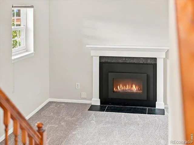 2425 Wapiti Road Fort Collins, CO 80525