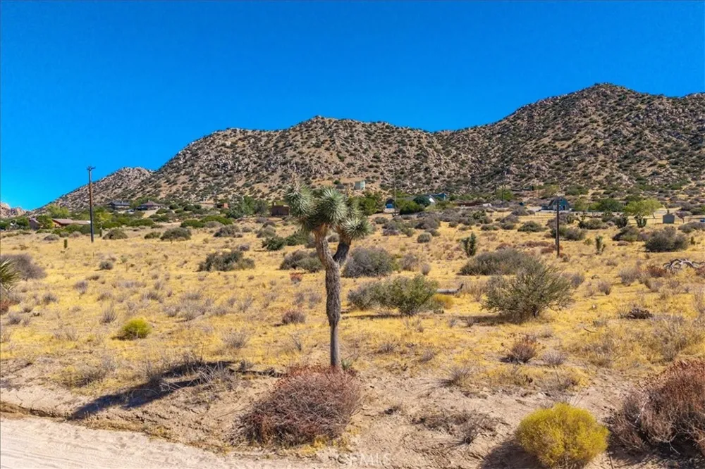 53175 Annie Oakley Pioneertown, CA 92268