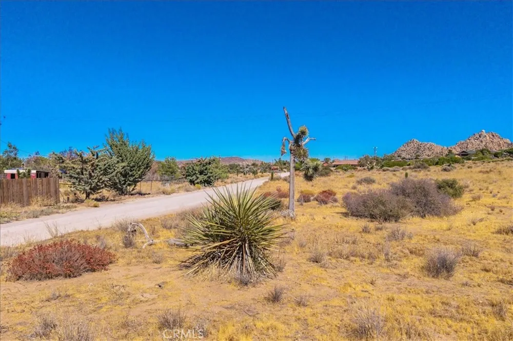 53175 Annie Oakley Pioneertown, CA 92268