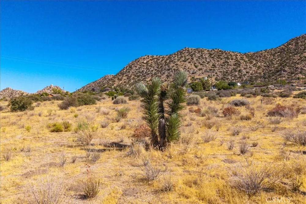 53175 Annie Oakley Pioneertown, CA 92268
