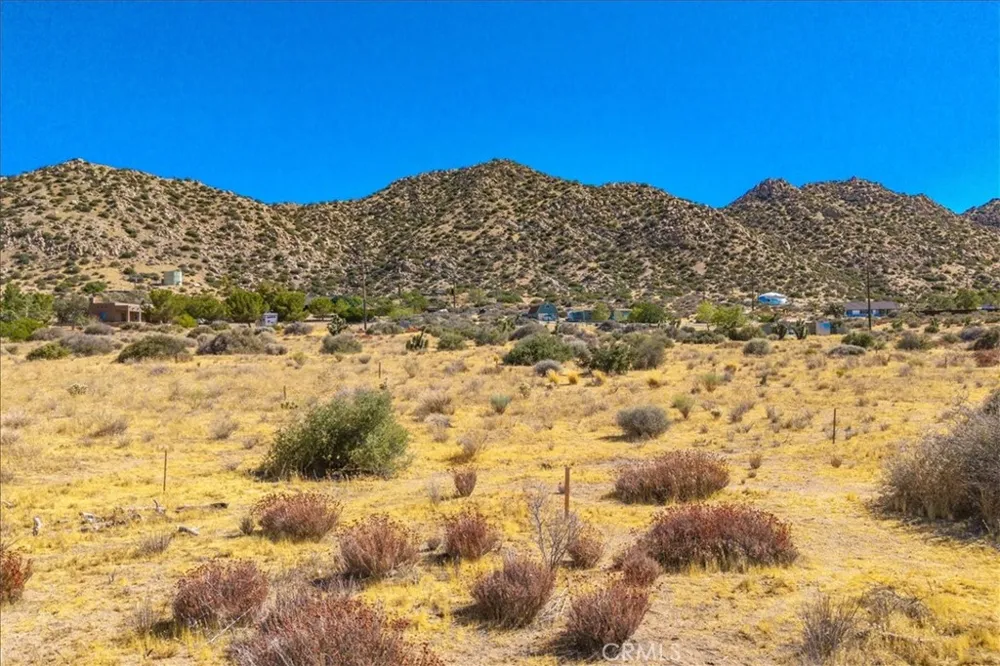 53175 Annie Oakley Pioneertown, CA 92268