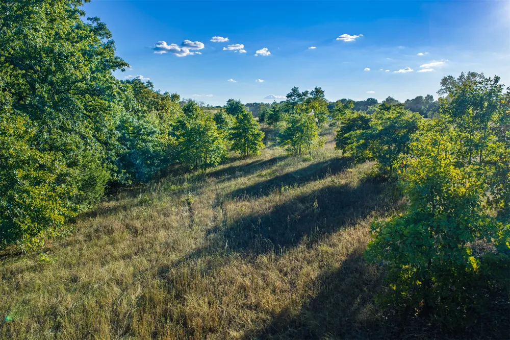 33 4256 ROAD Checotah, OK 74426