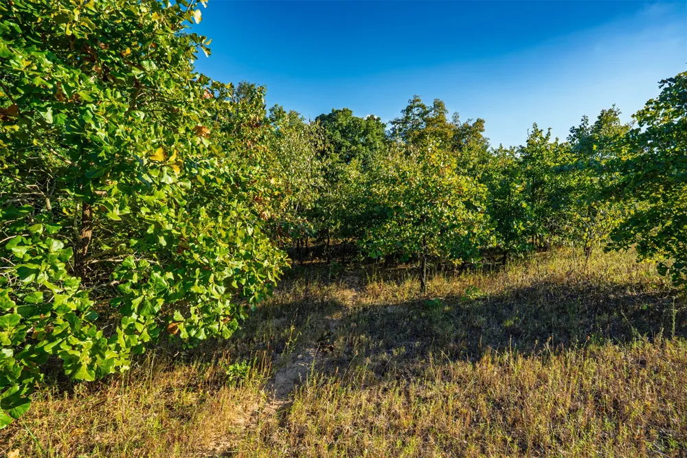 33 4256 ROAD Checotah, OK 74426
