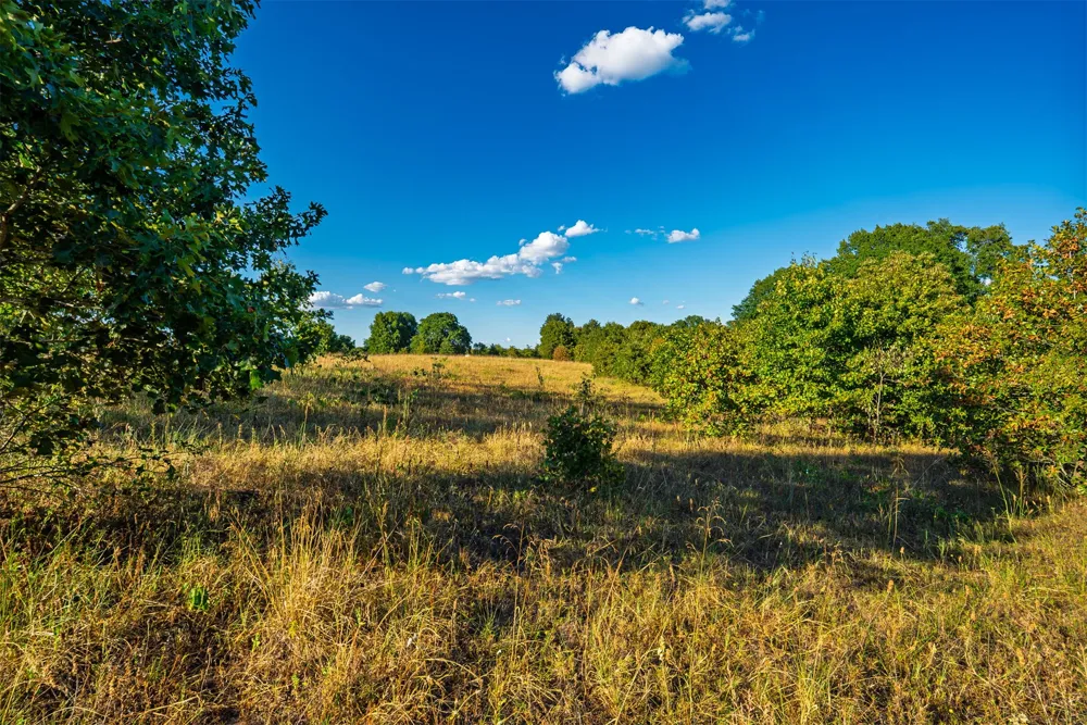 33 4256 ROAD Checotah, OK 74426