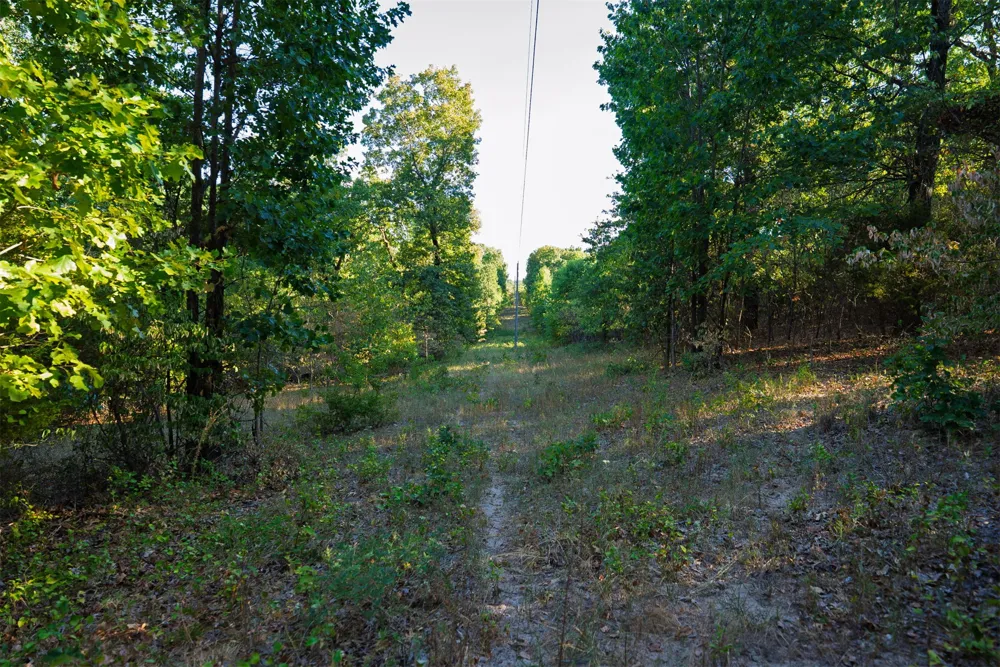 33 4256 ROAD Checotah, OK 74426