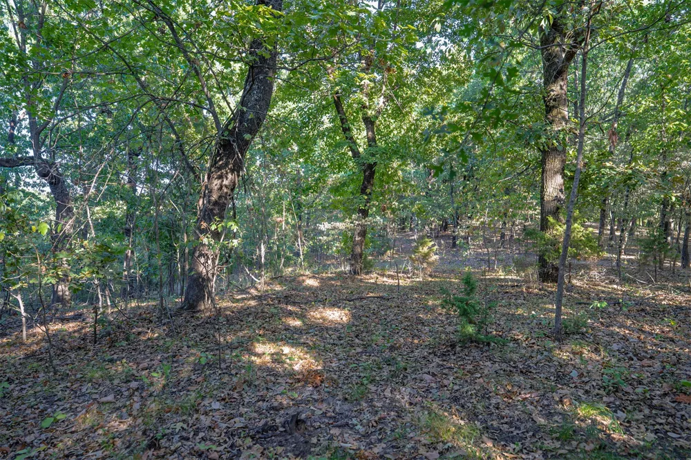 33 4256 ROAD Checotah, OK 74426