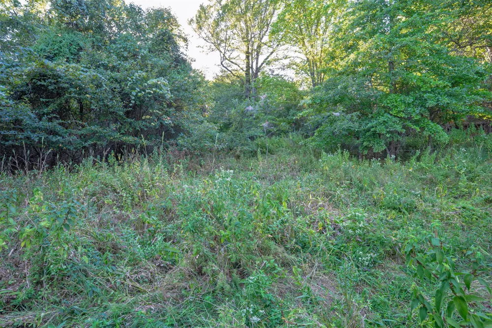 33 4256 ROAD Checotah, OK 74426