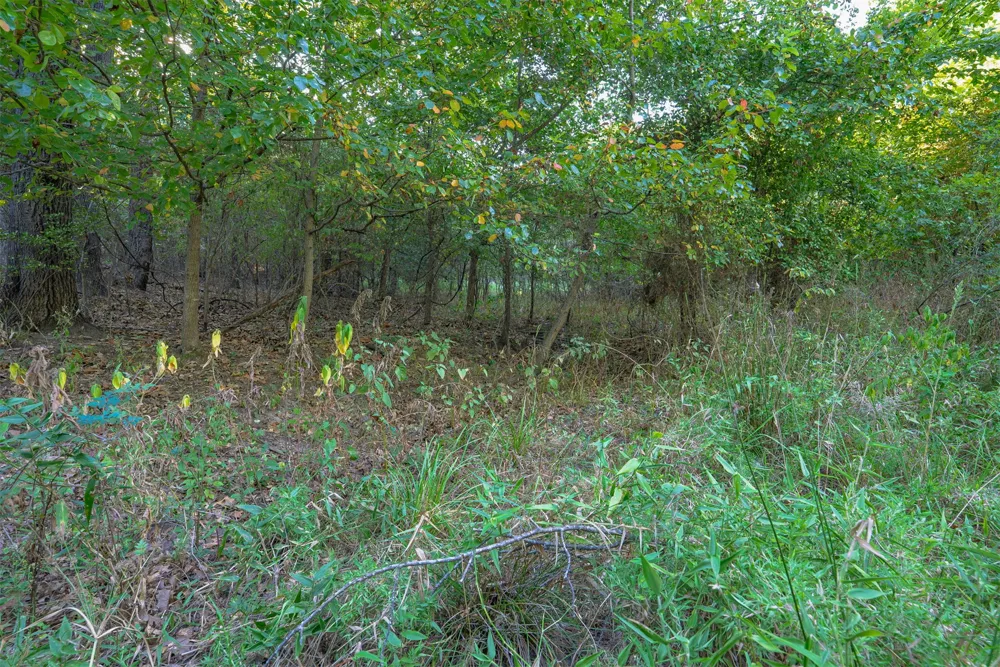 33 4256 ROAD Checotah, OK 74426