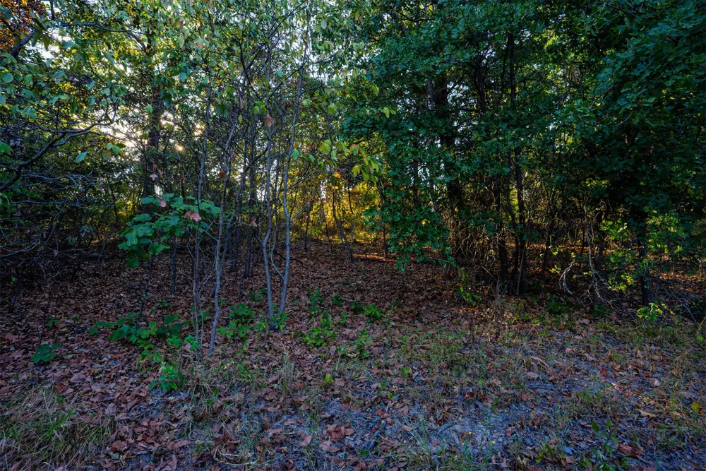 33 4256 ROAD Checotah, OK 74426