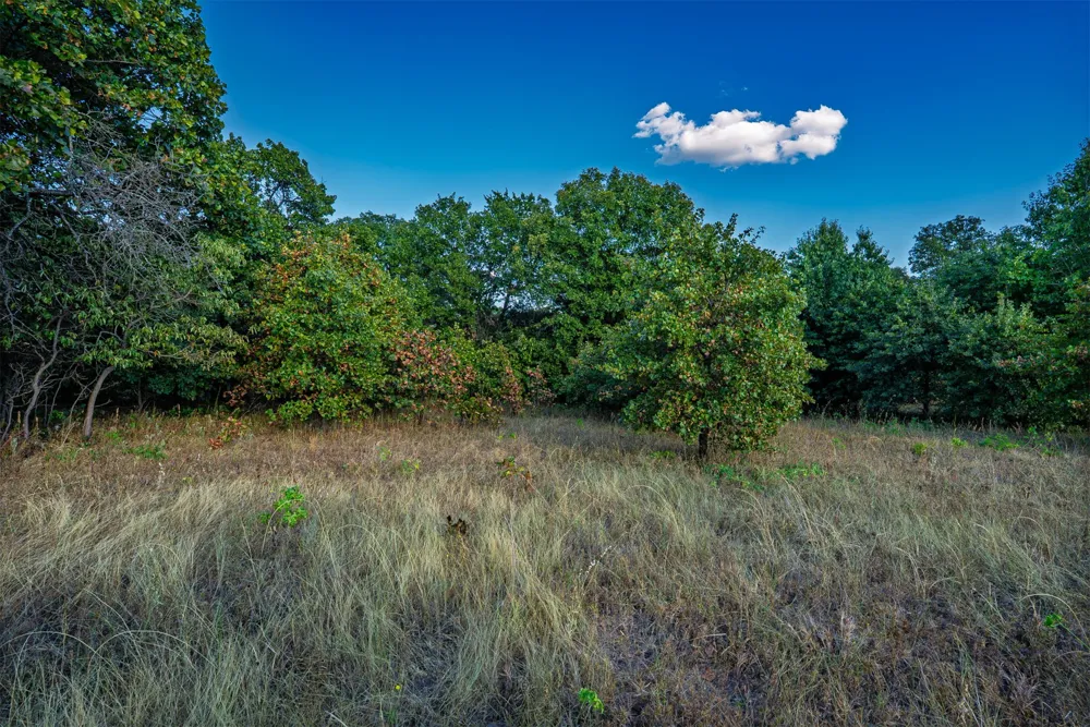 33 4256 ROAD Checotah, OK 74426