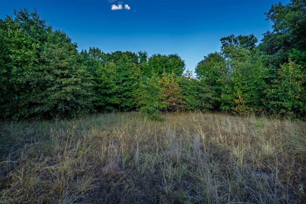 33 4256 ROAD Checotah, OK 74426