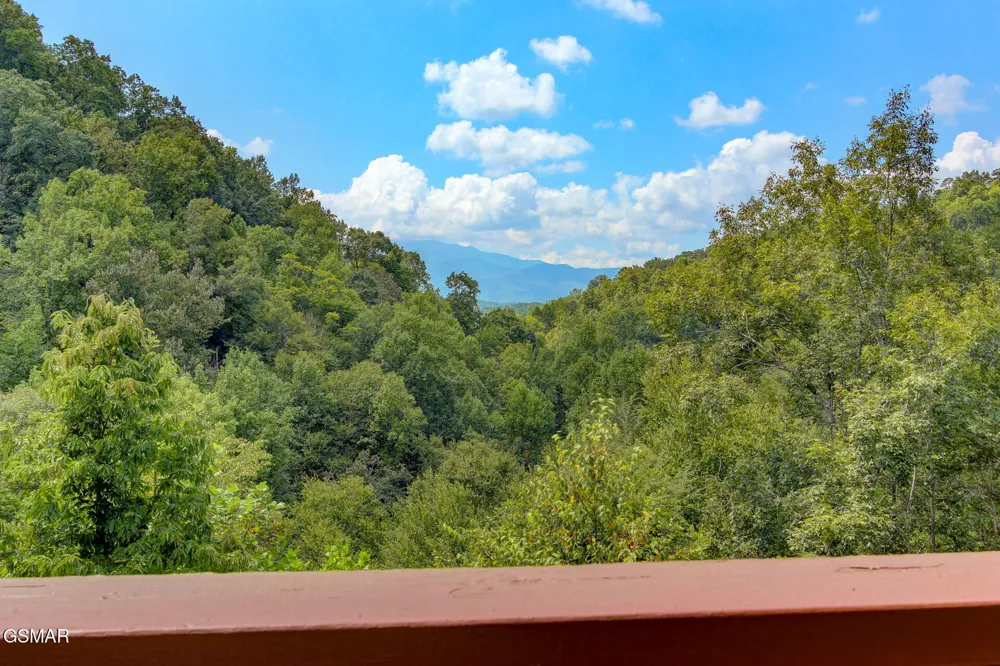 919 Grey Fox Trail Gatlinburg, TN 37738