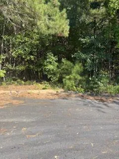 20 Ratliff Drive