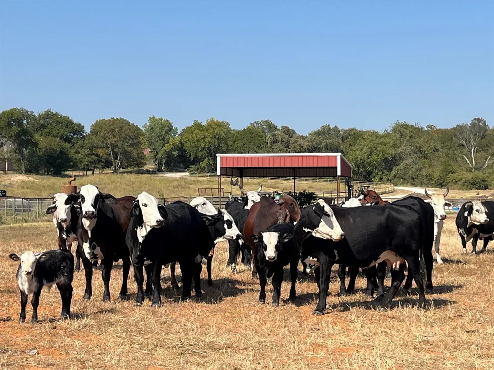 Briar Road Azle, TX 76020