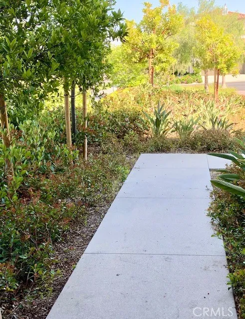 101 Sprig Irvine, CA 92620