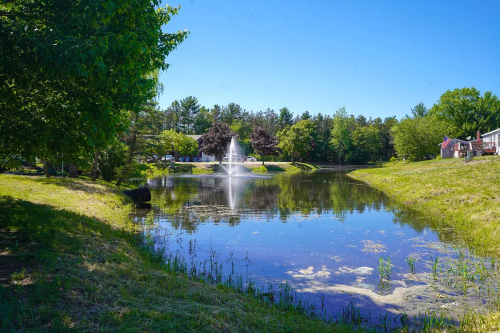 14519 Lemontree Lane Olive Township, MI 49460