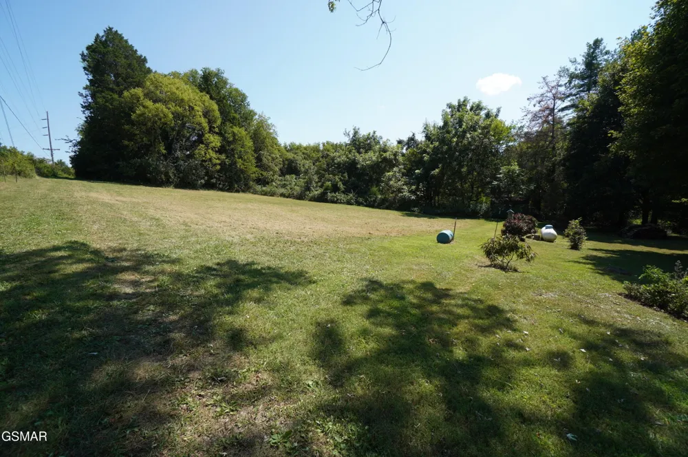 1044 Fate Rankin Road Jefferson City, TN 37760
