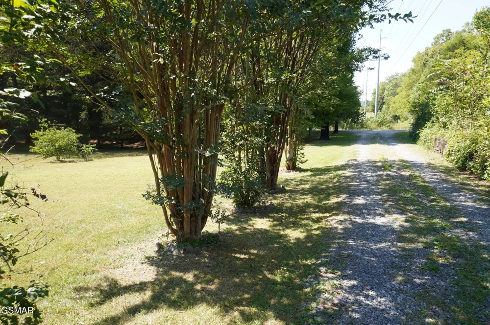1044 Fate Rankin Road Jefferson City, TN 37760