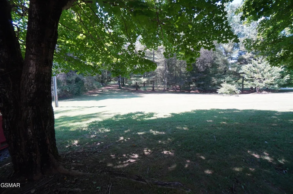 1044 Fate Rankin Road Jefferson City, TN 37760