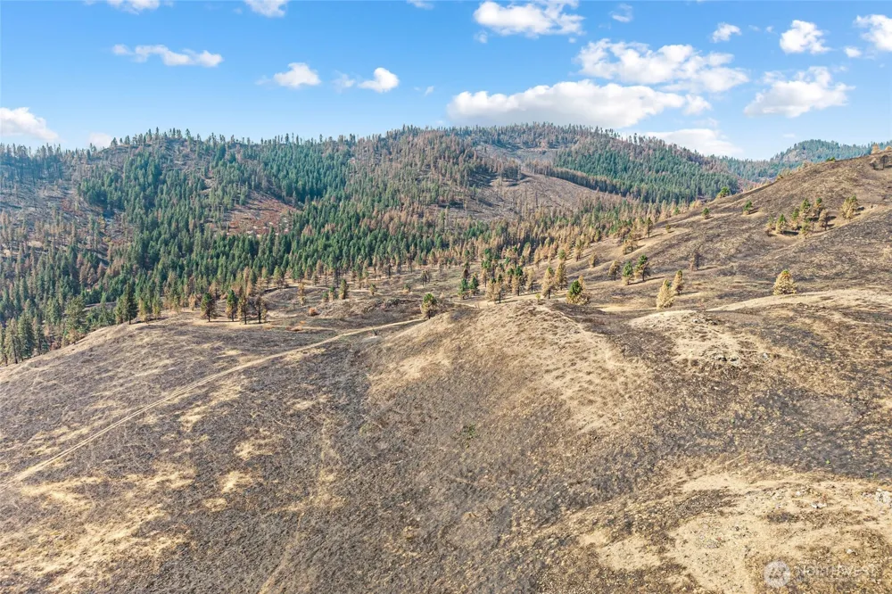 329 X Silver Creek Road Inchelium, WA 99138