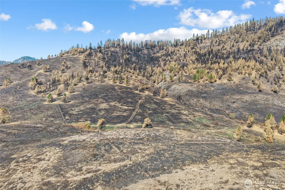 329 X Silver Creek Road Inchelium, WA 99138