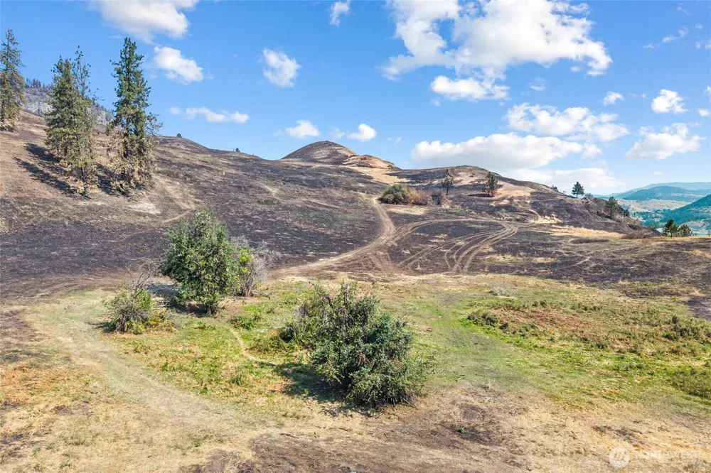 329 X Silver Creek Road Inchelium, WA 99138